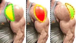 TOP 4 REAR DELTOID / LATERAL DELTOID / FRONT DELTOID WORKOUT WITH DUMBBELLS BARBELL CABLE AT GYM
