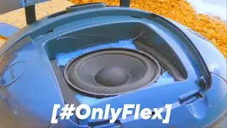 VACUUM BASS [#OnlyFlex]