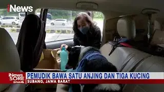 Sembari Terjang Kemacetan, Pemudik Ini Bawa Hewan Peliharaan ke Kampung Halaman #iNewsSore 02/05
