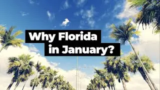 January  in Florida | Full Tour