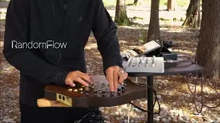 soma terra elektron model cycle fm enso looper ｜ambient jam