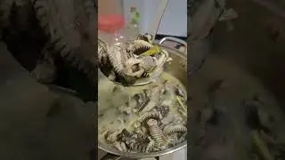 Cooking snake soup #VCooking