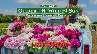 2019 Gilbert H. Wild Spring Catalog