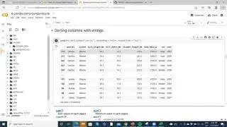 data manipulation for palmerpenguins using pandas