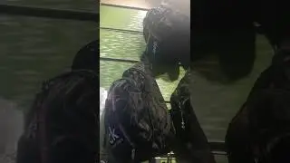 محافظ وحافظات جلد طبيعي في المنشية والسعر مفاجأة اوعي تفوتك