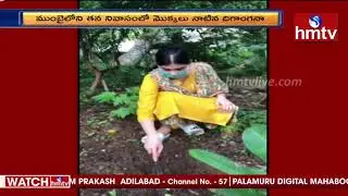 Actress Digangana Suryavanshi Green Challenge | hmtv News