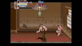 Final Fight Poison Vs Haggar