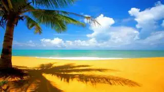OMONIMO - VAMOS A LA PLAYA (KANDO RADIO EDIT)