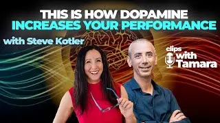 Steve Kotler explains how to achieve peak performance!