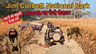 Jim Corbett safari in June 2025 | jim corbett national park | corbett tiger reserve #wildlife