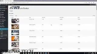 RANK YOUR WEBSITE AUTOMATICALLY ON PAGE#1WP AUTO RANKER HD