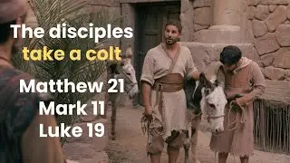 Teaching With The Chosen: The disciples take a colt, Matthew 21, Mark 11, Luke 19
