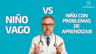 Niño VAGO vs  niño con un PROBLEMA de aprendizaje