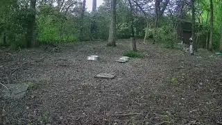20210522 Squirrel surprise