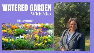 Discernment | Watered Garden
