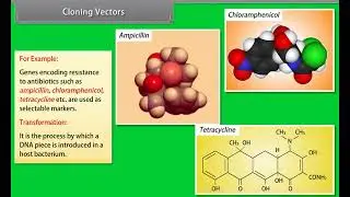 Biotechnology|| Biology | Class XI | #cbse #ncert #biology #biotechnology 