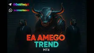 EA Amego Trend MT4 Automated Forex Robot FREE DOWNLOAD الاكسبرت الأكثر ربحا في الفوركس