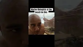 #marinebiology #marinebiologist #biologist #ocean #crabs
