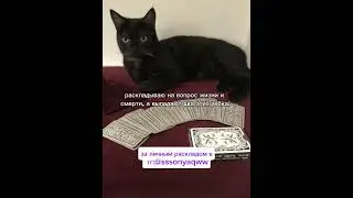 тг:@sssonyaqww #раскладытаро  #таро #картытаронаотношения #тарологонлайнбесплатно #tarot #бывший