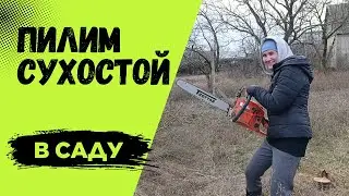 Пилим сухостой в саду