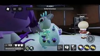 Trying get shelly!