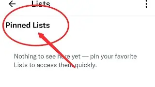 How to check pinned list in Twitter, Twitter ke pined list kaise check kare