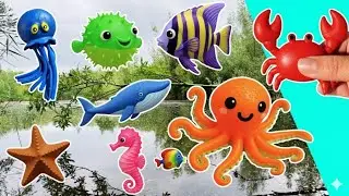 Learn Sea Animal Names at the Pond for Kids: Jellyfish Fish Octopus Whale Shark