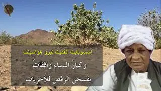 عبدالرحيم شامي / رهسنوك أومهين رهنينا