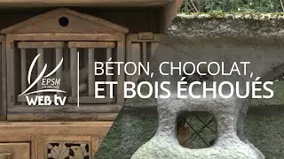 Béton, chocolat, et bois échoués