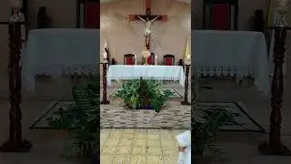 Sea por siempre bendito y alabado mi Jesús Sacramentado. 
