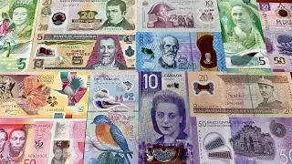 &ldquo;Unveiling North America&rsquo;s Polymer Banknotes &ndash; Transparent, Durable & Unique!&rdquo;