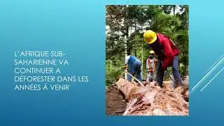 For&ecirc;ts: r&eacute;alit&eacute;s Africaines, Episode 1: le R&egrave;glement z&eacute;ro d&eacute;forestation de l'Union europ&eacute;enne (RDUE)
