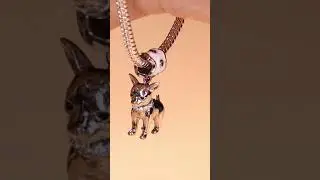 Gnoce 