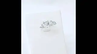 100354 002 0019