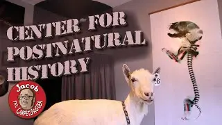 Center for Postnatural History - Featuring Spider Goat