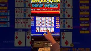 120 долларов за раздачу. Супер Тройная игра!