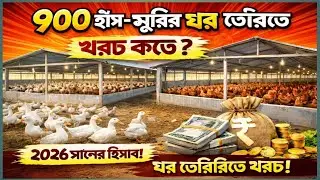 ৭০০ হাঁস মুরগি পালনের ঘর বানাতে কত টাকা লাগে? নতুনদের জন্য Complete Guide