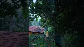 Temples pond in Kerala #kerala #keralamansoon #palakkadan #monsoonmalabar