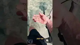 This Find Gave Me A Heart Attack!