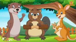 Happy Animal Moments: Otter, Beaver, Kangaroo, Wallaby, Capybara | Animal Sounds