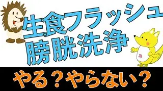 【いまさら聞けない#6】膀胱洗浄？生食フラッシュ？