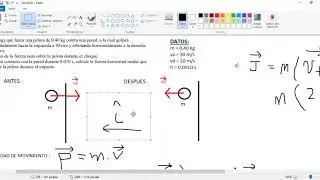 F&iacute;sica Inicial - Pr&aacute;ctico Impulso y Momento lineal (1)