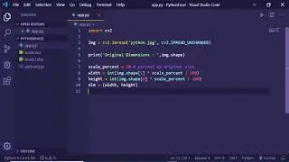 OpenCV Resizing Images in Python