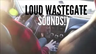 LOUD Subaru WRX Wastegate Street Pulls (EWG)!!