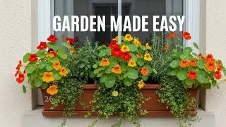 RENTER-FRIENDLY GARDEN PROJECTS 