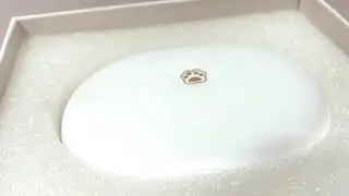 Gorry Contact Lens Cleaner | Glassmith by gulzari optics | Review video Promo
