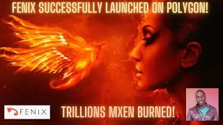 Fenix Successfully Launched On Polygon! Trillions mXen Burned!