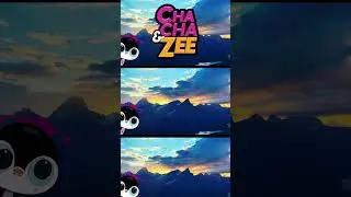 Discover Amazing Wildlife with Cha Cha & Zee in the Secret Forest!