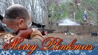 Merry plinkmas. Plinking with Sumatra 2500 .22 lever action pellet rifle.