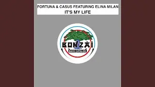 It's My Life (Ruslan Radriges Remix) feat. Elina Milan